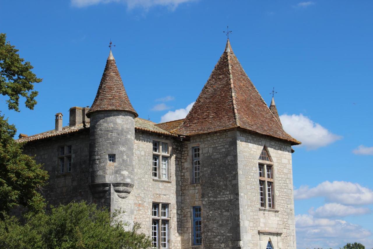 Gites Du Chateau De Panisseau Thenac  Exterior photo