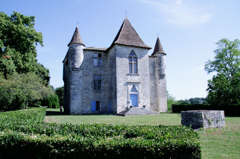 Gites Du Chateau De Panisseau Thenac  Exterior photo